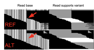 alt-aligned pileup example