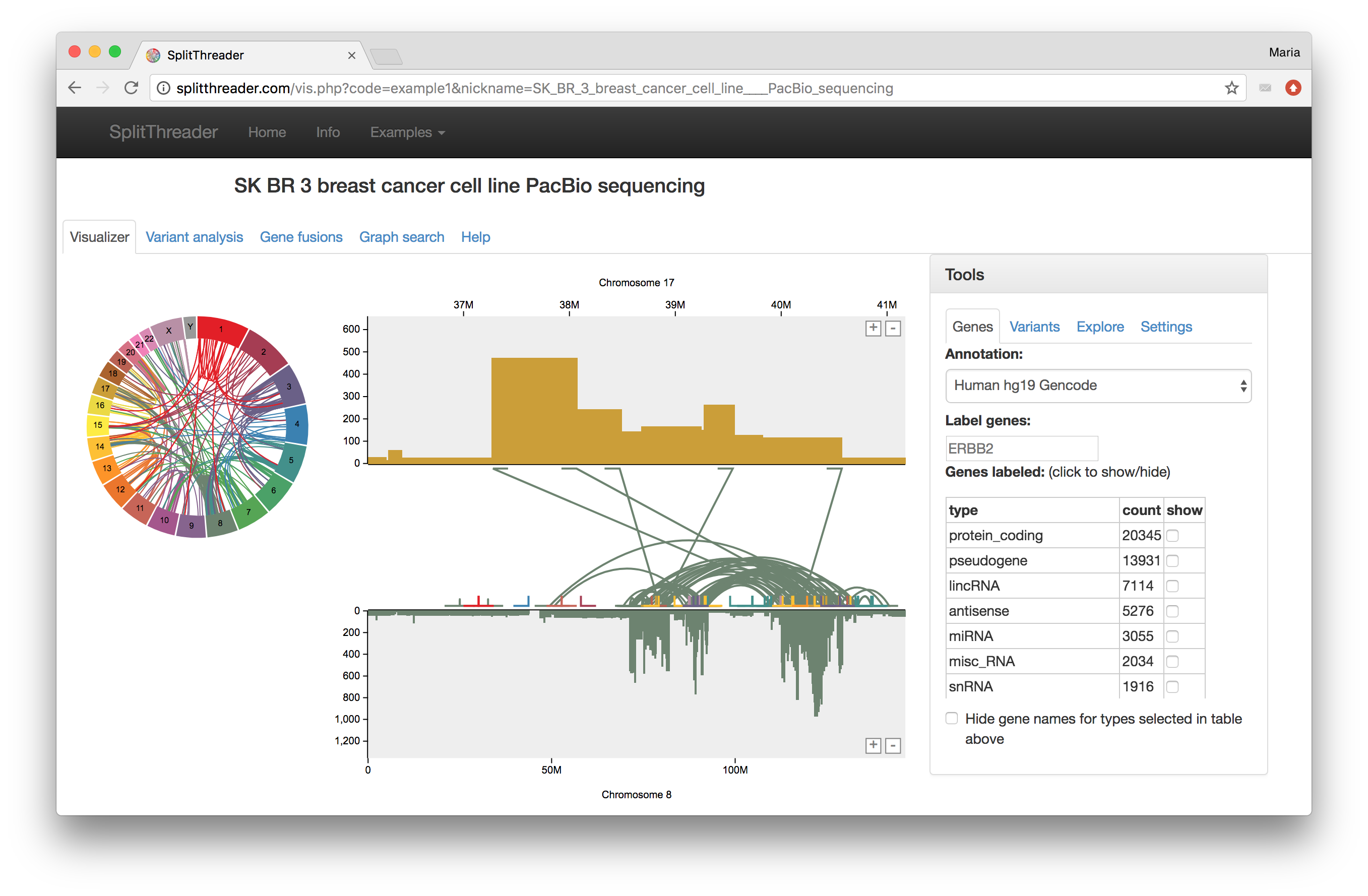 SK-BR-3 Project screenshot